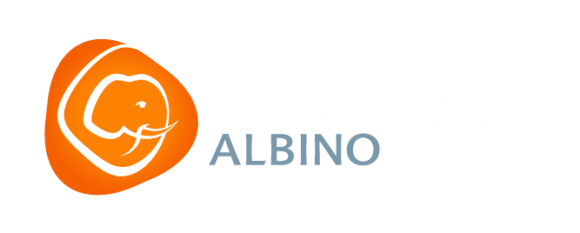 Smiling Albino — luxury travel partner